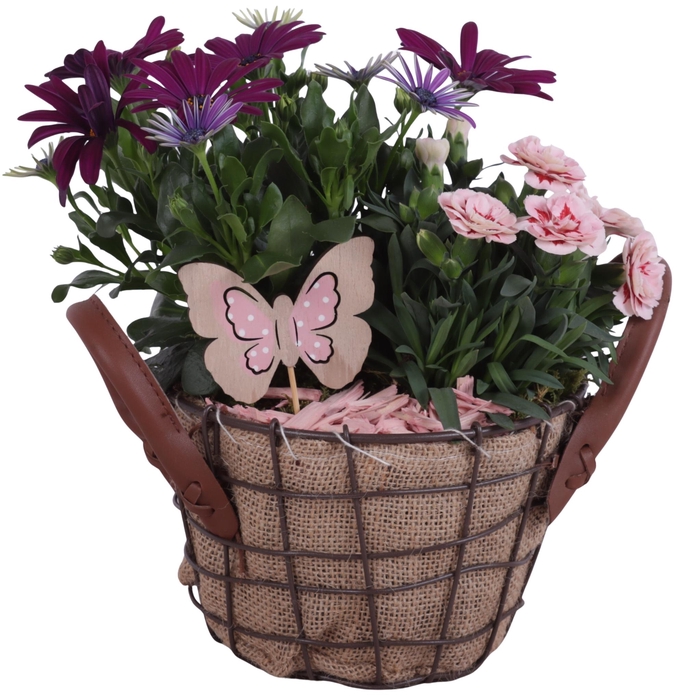 <h4>Spring Flower Arr. Outdoor Metal Wire Basket Jute Ø17cm 2PP</h4>