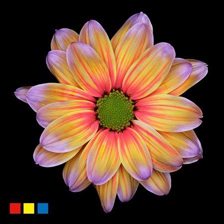 <h4>Chr T Kennedy Aruba</h4>