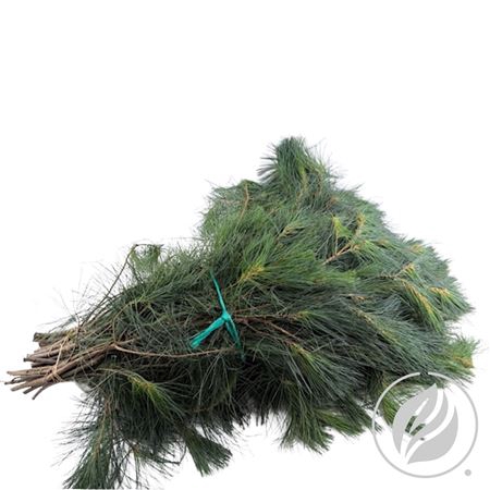 <h4>KIEFER HANDBOS 5KG</h4>