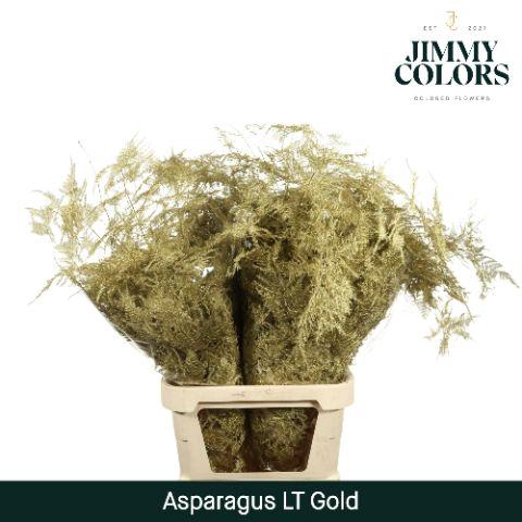 <h4>Asp lang getopt Gold</h4>