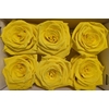 Ro Pres Classic Yellow