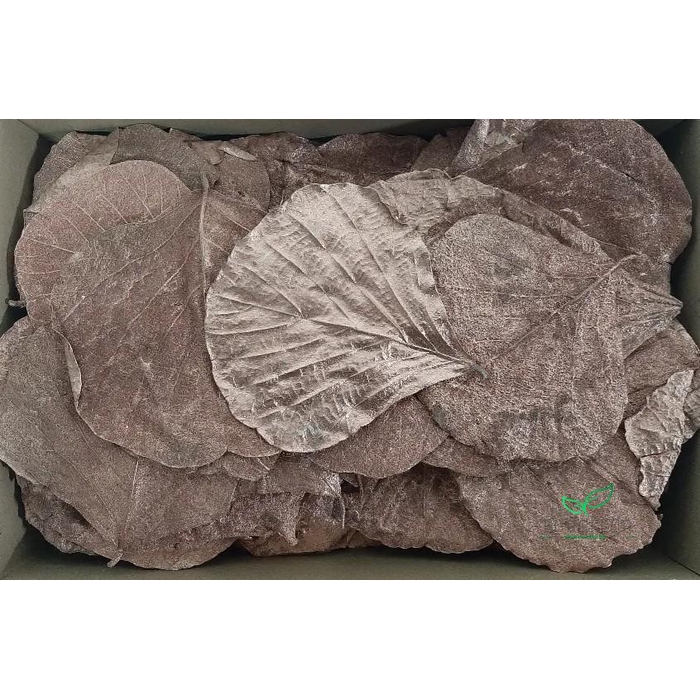 <h4>COBRA LEAVES COPPER 100pcs</h4>