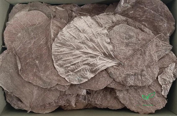 COBRA LEAVES COPPER 100pcs