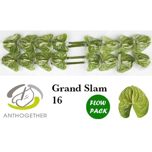 ANTH A GRAND SLAM 16 Flow Pack