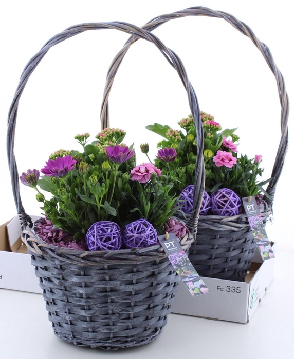 <h4>ARR TUINPLANTEN</h4>