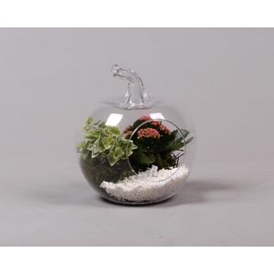 Glazen appel met Arrangement D18.5 H21