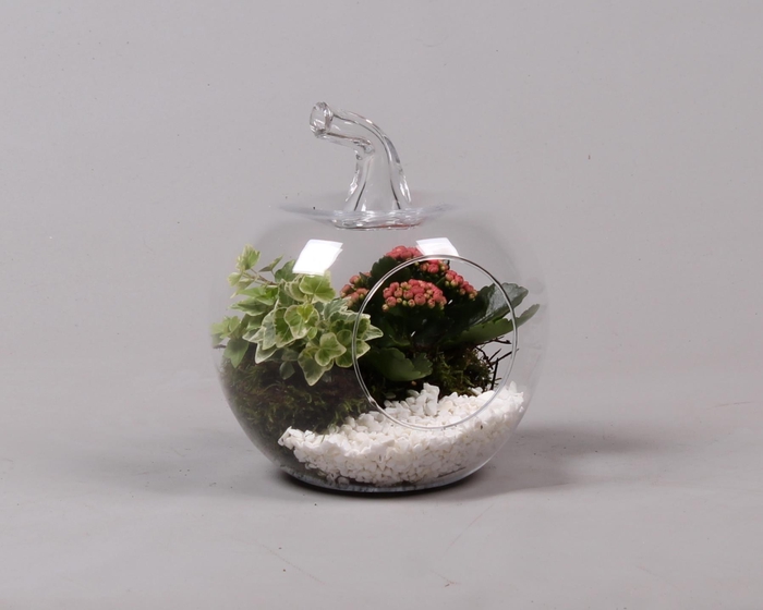 <h4>Glazen appel met Arrangement D18.5 H21</h4>