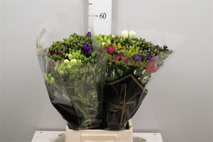 <h4>Fr Du Gemengd 25gr</h4>