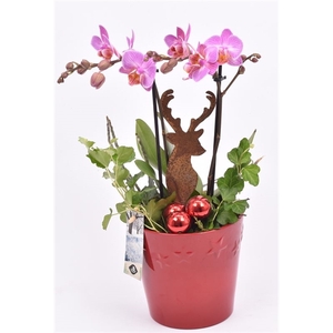 Keramiek pot rood sterdecor 13.5cm