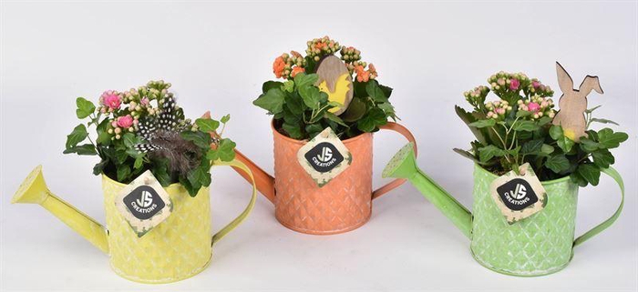 <h4>Zink gieter mix kleuren 11cm</h4>