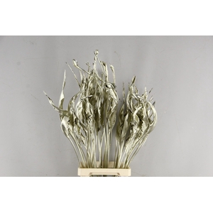 DF Strelitzia Leaf Platinum