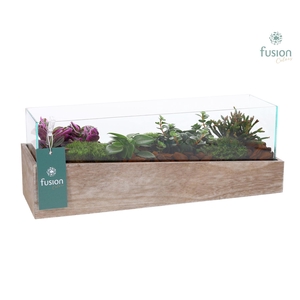 Aquarium Medium met Groene Planten