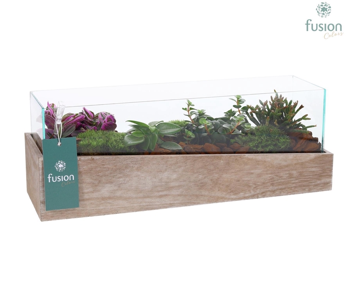<h4>Aquarium Medium met Groene Planten</h4>