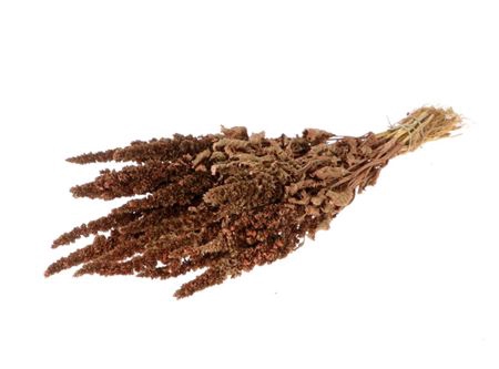 <h4>Bunch Amaranthus Slv 200g L60</h4>