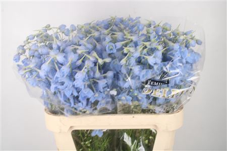 <h4>Delph En Ballkleid Pale Blue</h4>