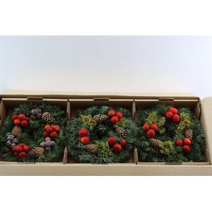 Wr Sierfruit Christmas 30cm (anttar)