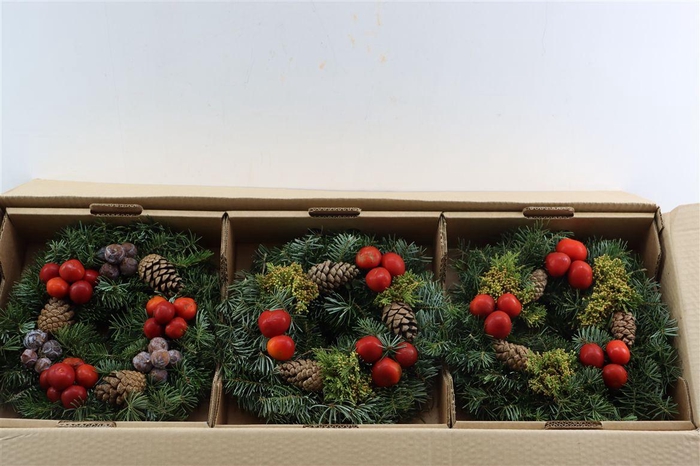 <h4>Wr Sierfruit Christmas 30cm (anttar)</h4>