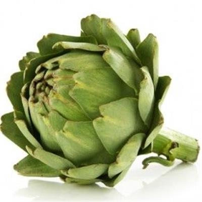 <h4>CYNARA SC GREEN GLOBE</h4>