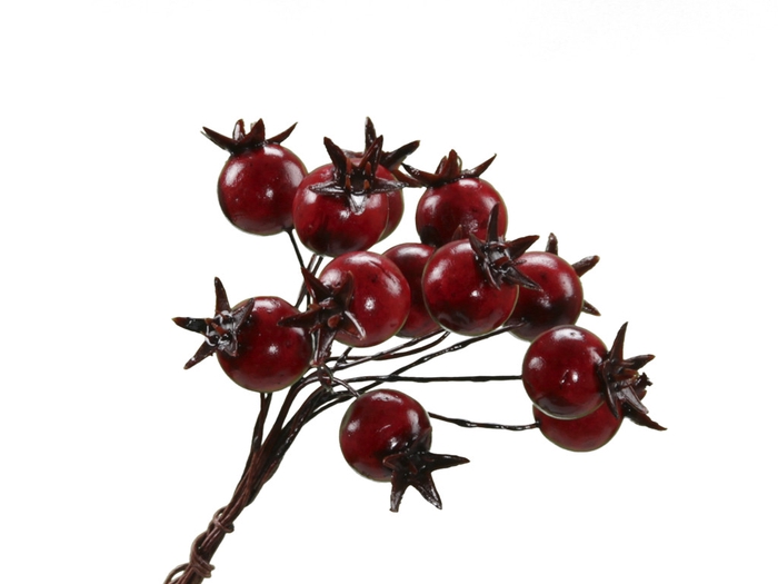 <h4>Autumn Berry/wire d1.8cm x72</h4>