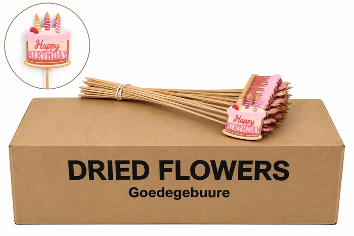 <h4>HUIS EN TUINDECO H%</h4>
