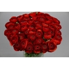 Ranunculus Clooney Tango Super