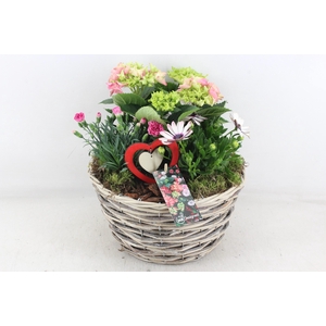 arr4 Outdoor MB - Mand gevlochten hort. XL
