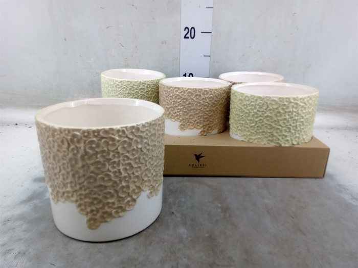 <h4>Pot   ...Keramische H%</h4>