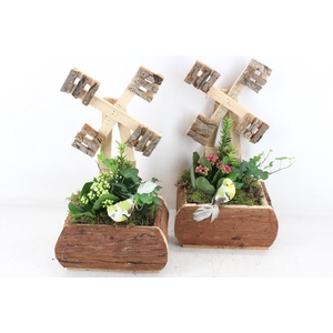 arr2 TD - Hout molen 338/3 - roze/wit