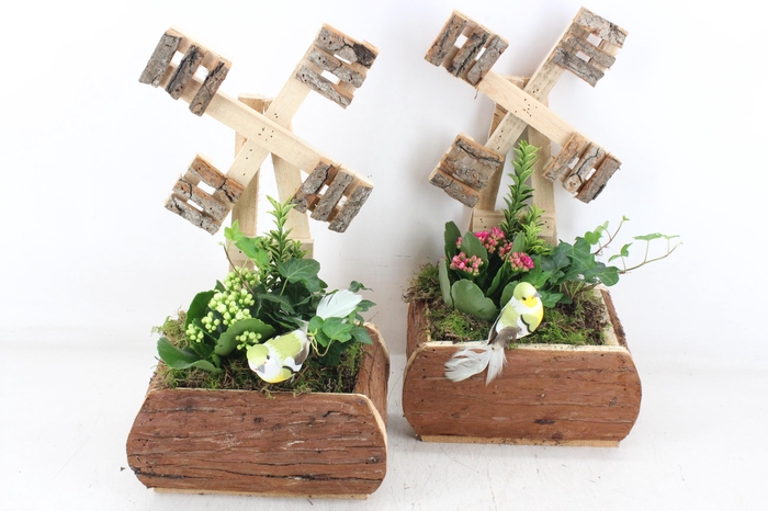 <h4>arr2 TD - Hout molen 338/3 - roze/wit</h4>