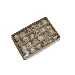 Quail Egg 24pcs Naturel