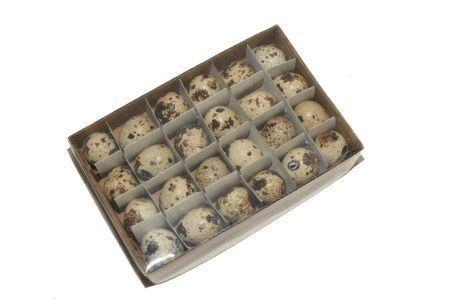 <h4>Quail Egg 24pcs Naturel</h4>