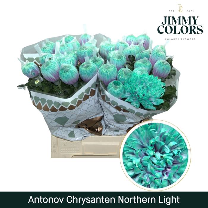 <h4>Chr G Antonov Northern Light</h4>