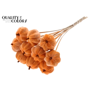 Velvet Pumpkin Ø6cm on stem Orange