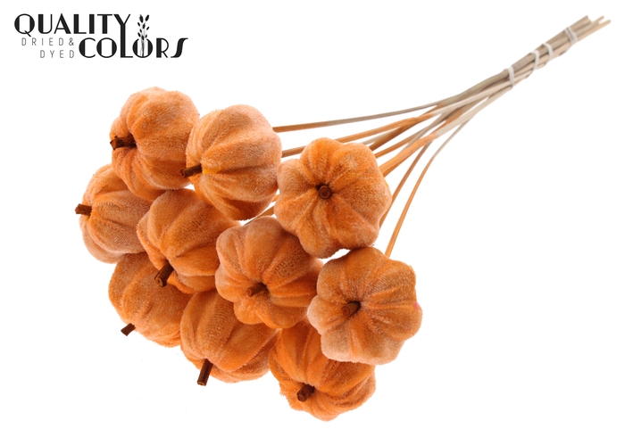 Velvet Pumpkin Ø6cm on stem Orange