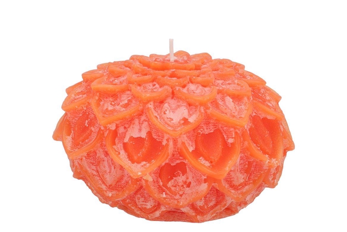 <h4>Candle Dahlia Orange 12x8cm</h4>