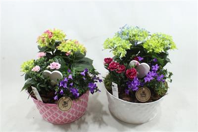 <h4>7398 Zink Hortensia Mix</h4>