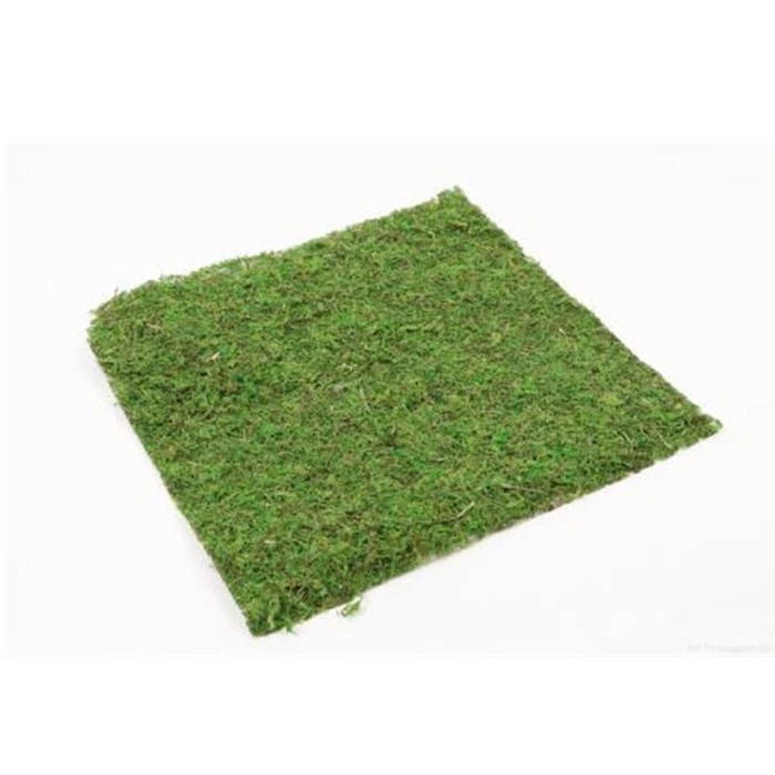 <h4>Dried articles Moss sheet 38*38cm</h4>
