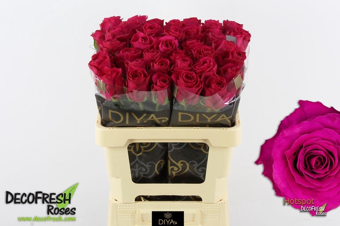 <h4>R Gr Hotspot</h4>