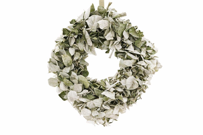 <h4>Wr Peupelier Leaves Naturel 30cm</h4>