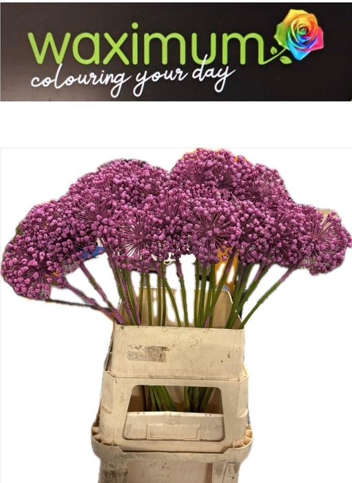 <h4>DECOGROEN OV KLB H%</h4>