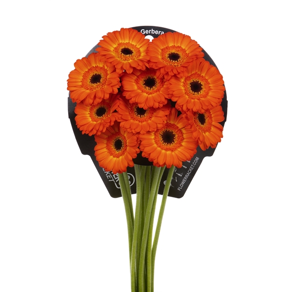 <h4>Ge Mi Flamazing Flowerracket</h4>