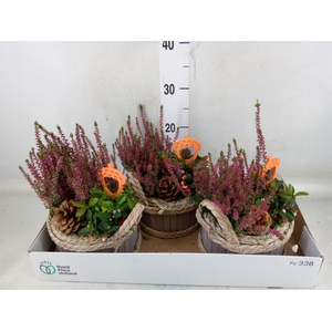 Arr.   Tuinplanten L%