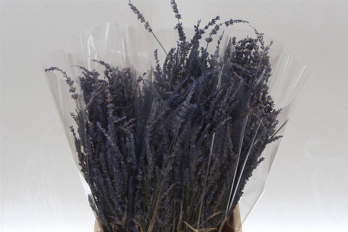 <h4>Lavendel (p. Bos)</h4>