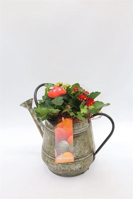 arr2 MBD HE64 GIETER HERFST