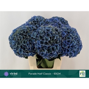 Parade Half Classic - 60CM