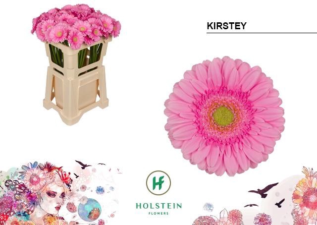 <h4>Ge Mi Kirstey</h4>