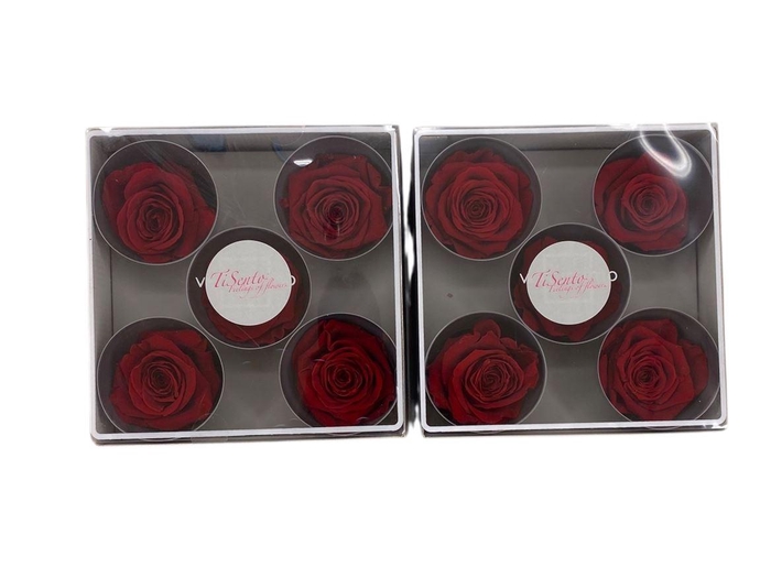 <h4>Arrangementen Potroos H%</h4>