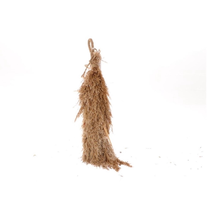 Dried articles Pampas hanging 50cm