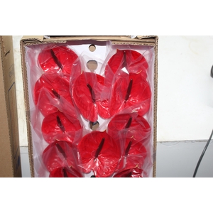 ANTHURIUM IMPULZ 11/13 040 CM DIAM MIN 11 CM VERMELHO