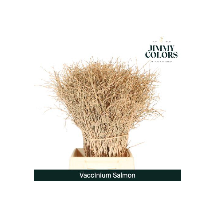 <h4>Vaccinium L50 Zalm</h4>